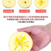 小皮皮