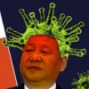 豬習粥