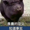 zhangnage