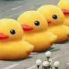 墙内反贼