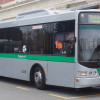 公車隻狼
