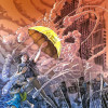 Fiat_Lux