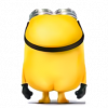 林紫竹