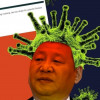 姚天行tenko
