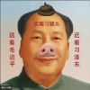 清炖ccp