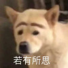 若有所思zzz