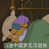西瓜籽