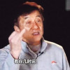 搬石砸腳第一人