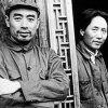伍豪de红太阳