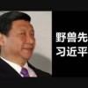 維尼先輩