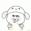 fayfay365