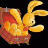 der_Hase