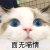 pxljj