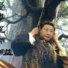 哈利包特