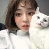 老猫猫
