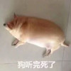 liaojie123
