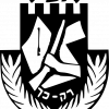 伊尔贡