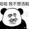 破乎药丸