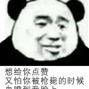 巴斯兔