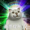 赵信