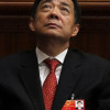 杨老师爱李志
