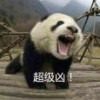 超级大土豆