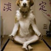 痴道人
