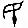 ctzkong
