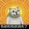 minixiaomao