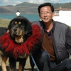 知乎周晓农