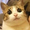 qweewq