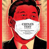 porn91习先生