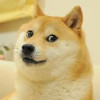 庆丰大大