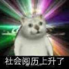 因吹斯汀