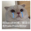 bbqqg
