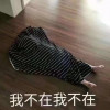 曲奇