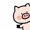 zzsw