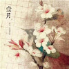 多菲尔