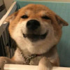 靓仔