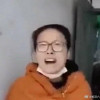 zlsm