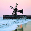 FDutchman