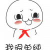 全球总加速师