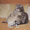 Zoeeeeee