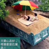 自由战狼