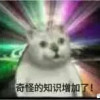 冷眼看世界