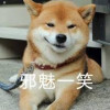 盛夏的星空