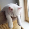 情绪VS生活