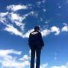 墙外风光无限