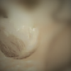 Grecap1