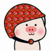 Guoxiaomei